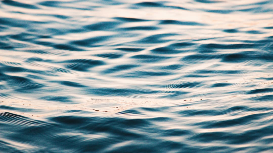 Water Cremation (Aquamation)